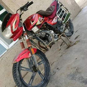 Fekon FK150-8G 2013