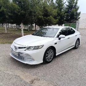 Toyota Camry 2019