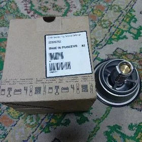 termostat