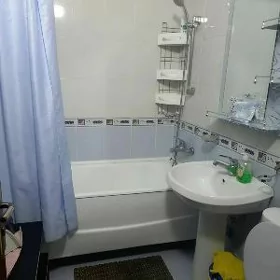 Бизмейине Гресс