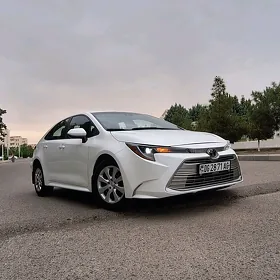 Toyota Corolla 2024