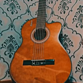 GITARA VALENCIA