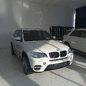 BMW X5 2010