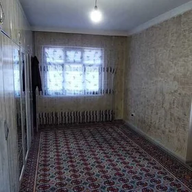 Satlyk Mir 3 Mir Koce 2 Kom