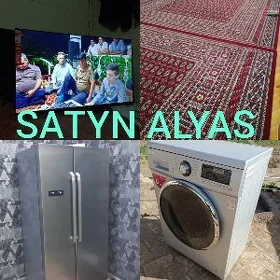 SATYN ALYARYS