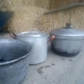 gazan