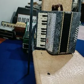 Akordion Akkordeon