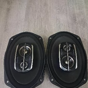 PIONEER NIKL 500LIK