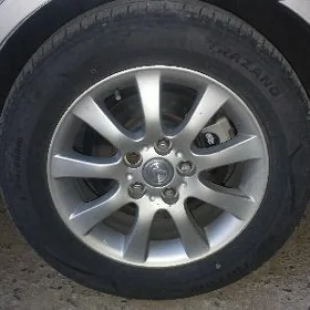 Lexus disga.
