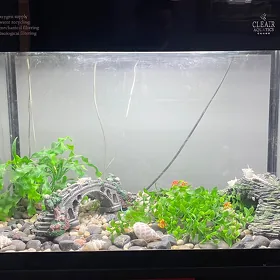 akvarium