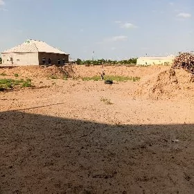 kanteýnir er