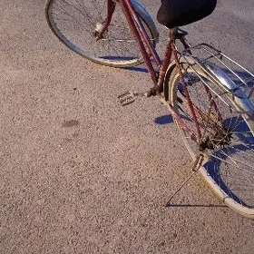 ýapon