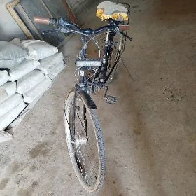 welaspet 27
