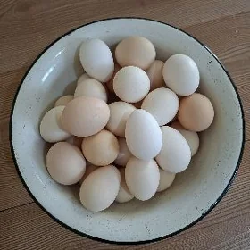 yumurtga