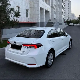 Toyota Corolla 2022