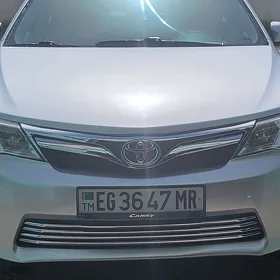 Toyota Camry 2013