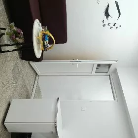 mir² şayoly salona işgär gerek