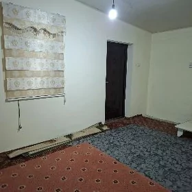 Taze Zaman