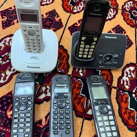 Panasonic