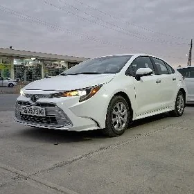 Toyota Corolla 2025
