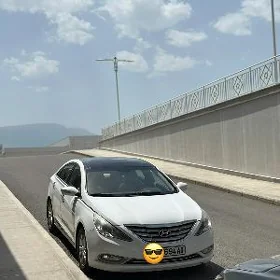 Hyundai Sonata 2012