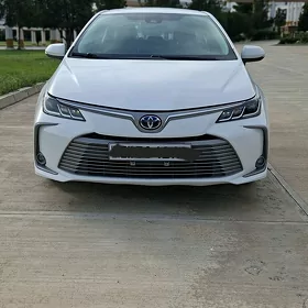 Toyota Corolla 2023