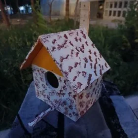 gùş ketek bagda goymak un