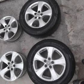 sennag diskasy