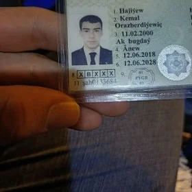 prawa yitdi