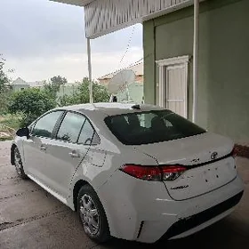 Toyota Corolla 2022