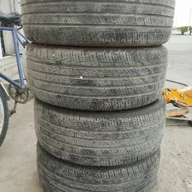 225 45 17 pakryska
