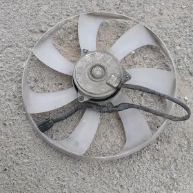 lopus Corolla