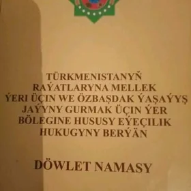 Anew Satlyk yer