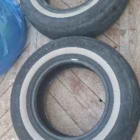 balon pakryska r14