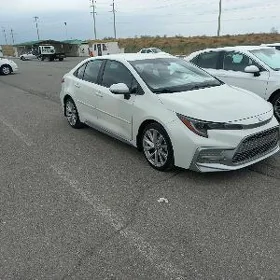 Toyota Corolla 2022