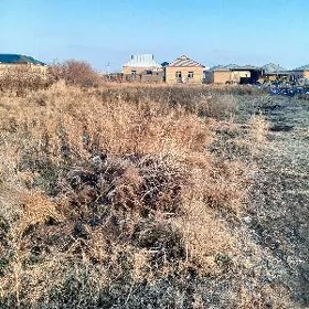 satlyk yer