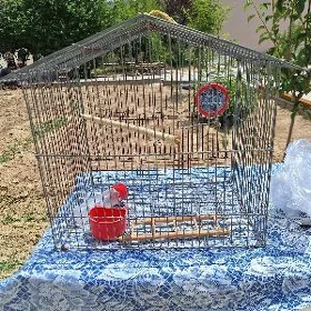 птичья  клетка
