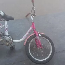 tigir kici caga gyssagly welik