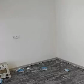 Arenda wermýanka