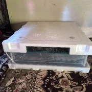 inkobator owtomat