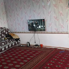 Satlyk Plan jay