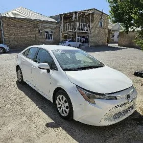 Toyota Corolla 2022