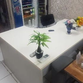 Stol owis