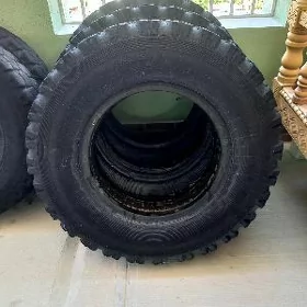 teker 53