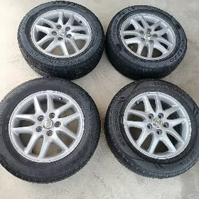 babycga grand disga teker