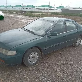 Honda Accord 1994