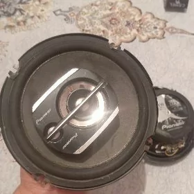 pioneer 300lik arginal