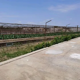 Teplisa-ferma
