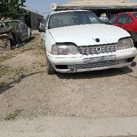 opel morda
