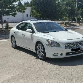 Nissan Maxima 2010
